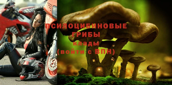 МДПВ Горнозаводск