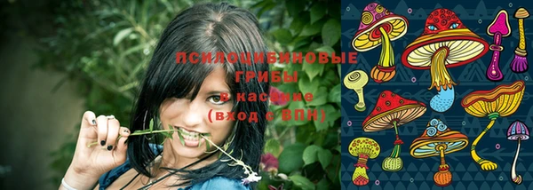 бошки Горно-Алтайск