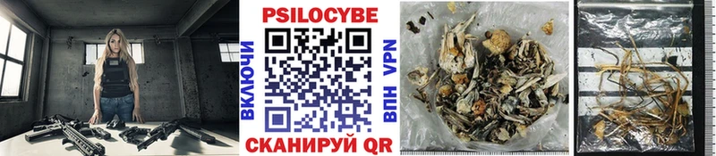 Псилоцибиновые грибы прущие грибы Купить закладки Кола