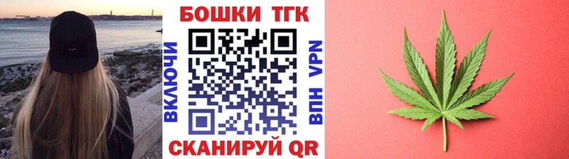 Купить закладки  Кола  Канабис SATIVA & INDICA 